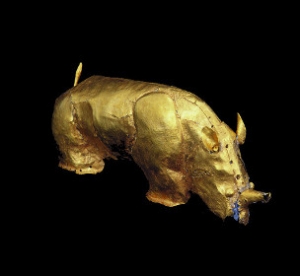 13C Gold Rhino, hidden by the racist apartheid regime of South Africa because it contradicted their ideology of an empty land
