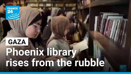 THE BOOK COLLECTORS OF GAZA